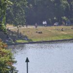 Ploß fordert Freibad-Offensive mit Infrastruktur-Milliarden