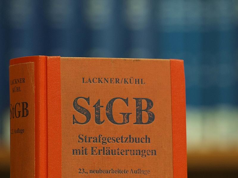 Sachsens Justizministerin pocht auf Abschaffung von Paragraf 188
