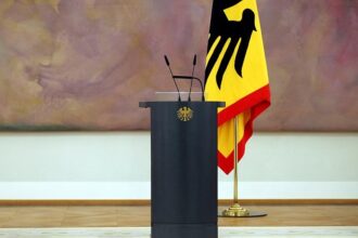 Steinmeier wünscht sich Politik-Profi als Nachfolger