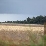 Unwetter in verschiedenen Teilen Deutschlands