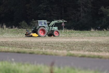 Verbraucherzentrale kritisiert EU-Gentechnik-Entscheidung