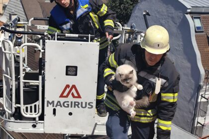 Feuerwehr rettet Katze „Coco“ von Hausdach in Augsburg