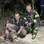Hund aus Dachsbau gerettet: Feuerwehr und THW befreien Vierbeiner nach aufwendigem Einsatz
