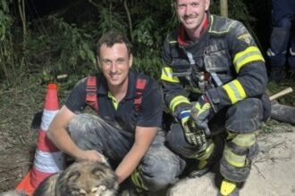 Hund aus Dachsbau gerettet: Feuerwehr und THW befreien Vierbeiner nach aufwendigem Einsatz
