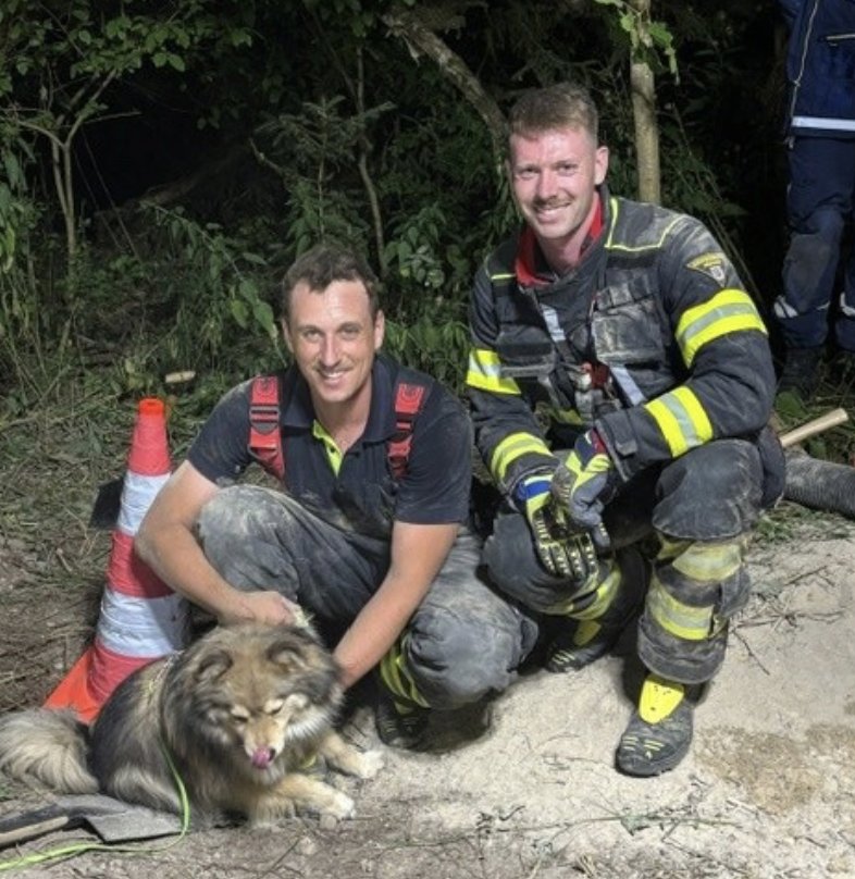 Hund aus Dachsbau gerettet: Feuerwehr und THW befreien Vierbeiner nach aufwendigem Einsatz