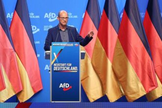 AfD wählt drei neue Parteivize – bestes Ergebnis für Möller