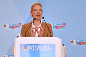 AfD will Fünf-Prozent-Hürde ersatzlos streichen