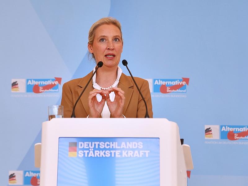 AfD will Fünf-Prozent-Hürde ersatzlos streichen