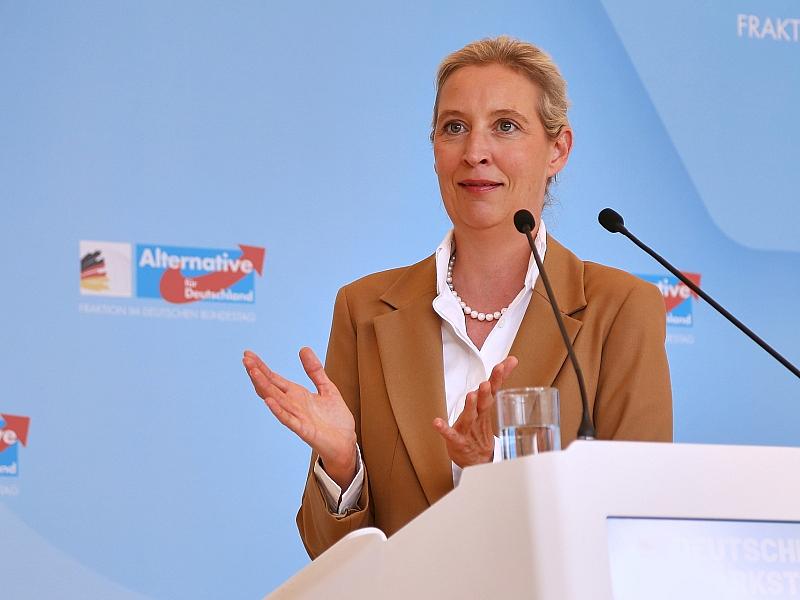 Brandmauer: AfD begrüßt Antrag aus Brandenburger Mittelstandsunion
