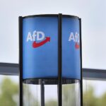 DIW warnt vor Ende der “Brandmauer” zur AfD