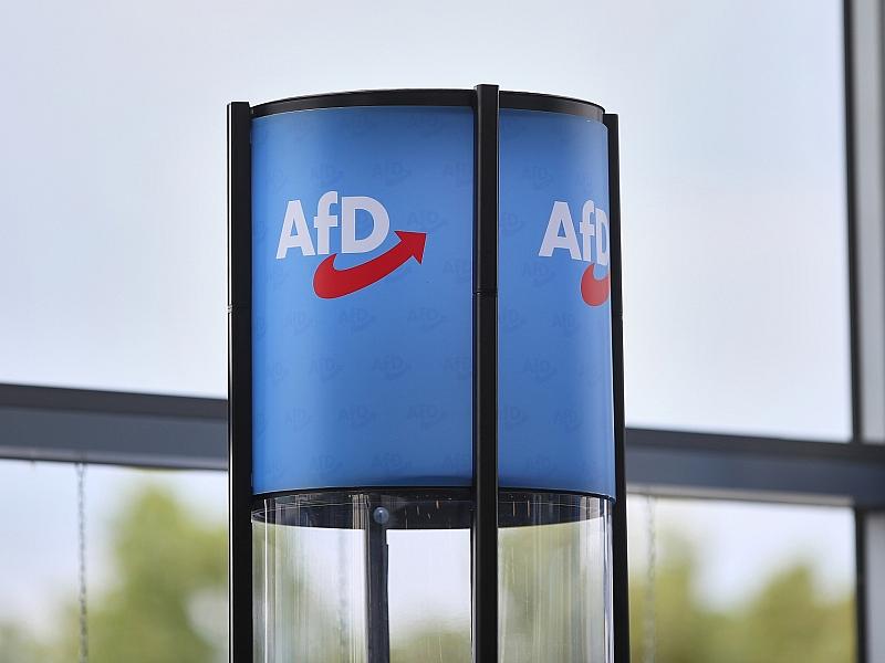 DIW warnt vor Ende der “Brandmauer” zur AfD