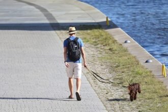 DWD: Südwesten erlebt im Juli extreme Hitze und Trockenheit