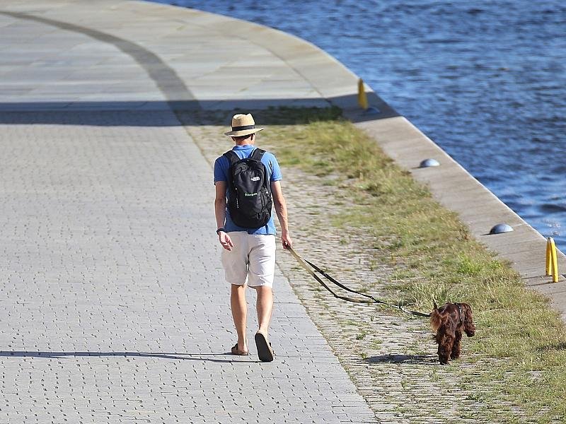 DWD: Südwesten erlebt im Juli extreme Hitze und Trockenheit