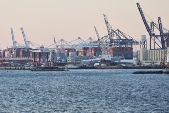 EU-Parlamentarier erwartet Ende der US-Zölle bis 2029