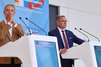 Forsa: AfD erreicht neuen Höchststand