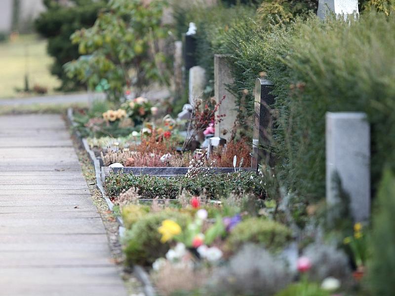 Friedhofsgärtner fordern Ausnahmen von Gießverboten