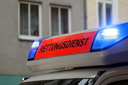 Hitze: Verbände wollen Verfassungsänderung für mehr Klimaanpassung
