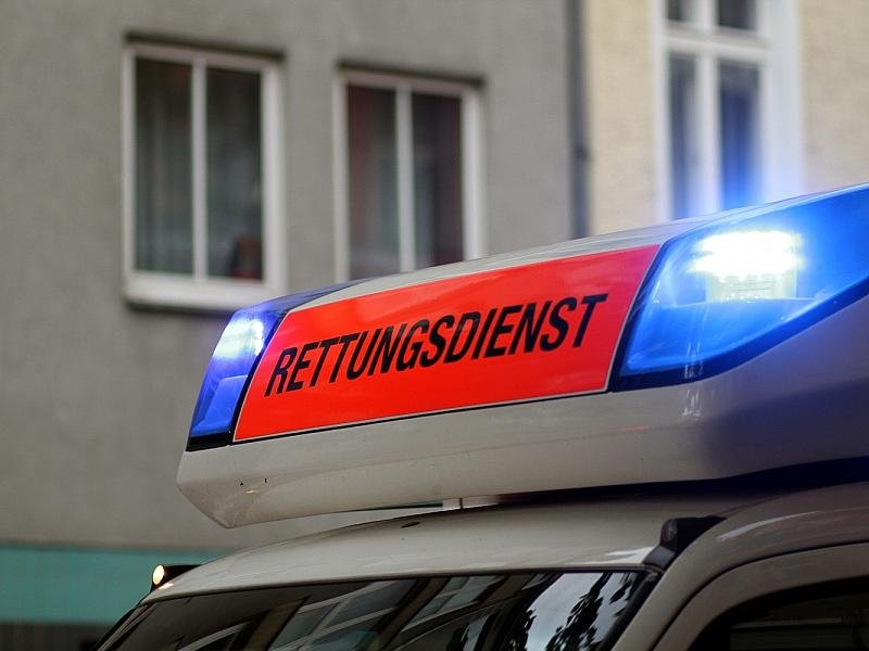 Hitze: Verbände wollen Verfassungsänderung für mehr Klimaanpassung