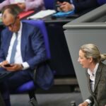 Ipsos: Union fällt auf tiefsten Stand seit 2022 – Rekord für AfD
