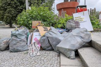 Kaum Proteste gegen AfD-Parteitag am Sonntag