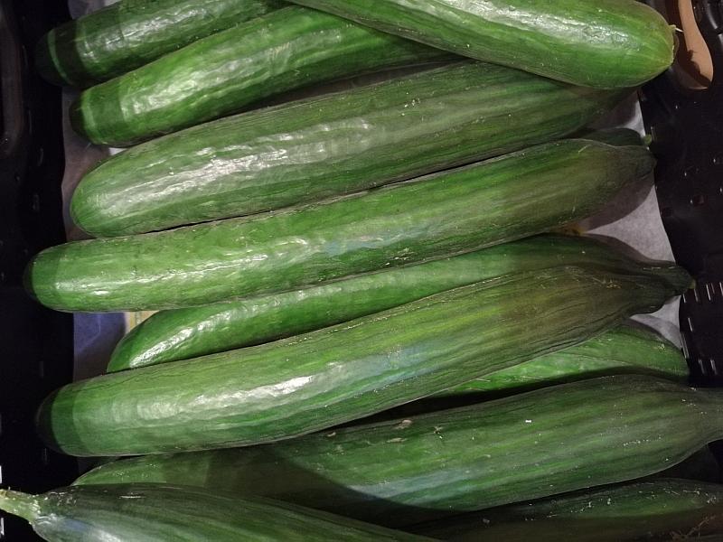 Landwirtschaftliche Erzeugerpreise deutlich gesunken