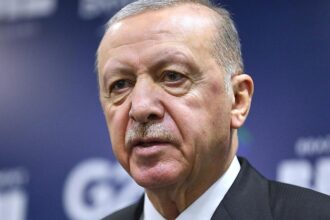 Linke wirft Bundesregierung “Doppelmoral” im Umgang mit Erdogan vor