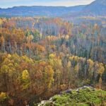 Mann bei Unwetter in Sächsischer Schweiz von Baum erschlagen
