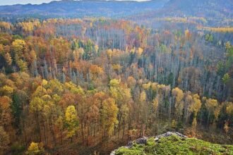 Mann bei Unwetter in Sächsischer Schweiz von Baum erschlagen