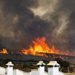 Mindestens zwölf Tote bei Waldbränden in Südspanien