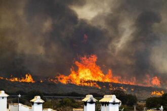 Mindestens zwölf Tote bei Waldbränden in Südspanien