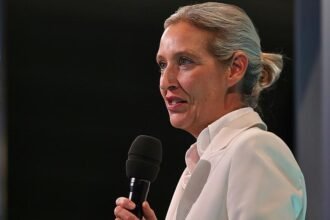 Politbarometer: AfD legt zu – Grüne und Linke verlieren