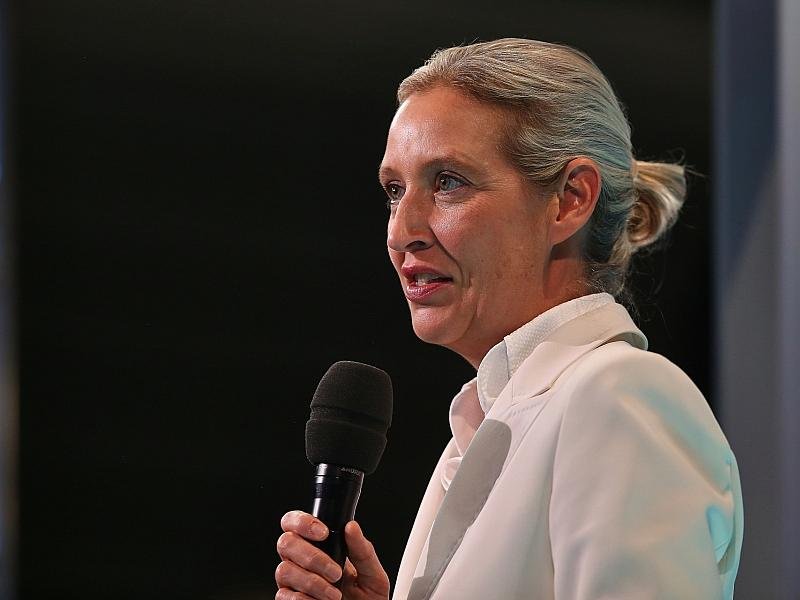Politbarometer: AfD legt zu – Grüne und Linke verlieren