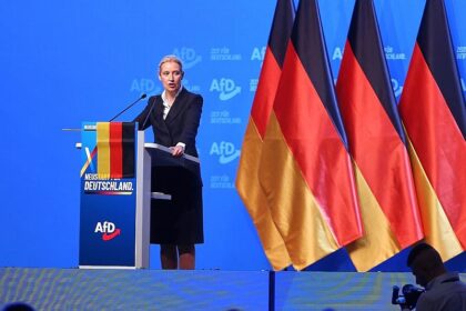 Politologe: Weidels Macht in der AfD ist begrenzt