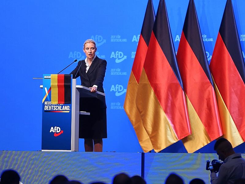 Politologe: Weidels Macht in der AfD ist begrenzt