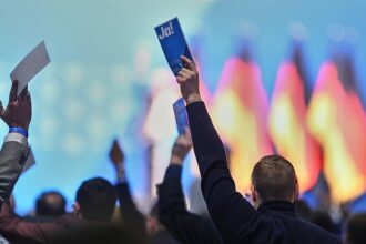 Polizeigewerkschaft sorgt sich um Einsatzkräfte bei AfD-Parteitag