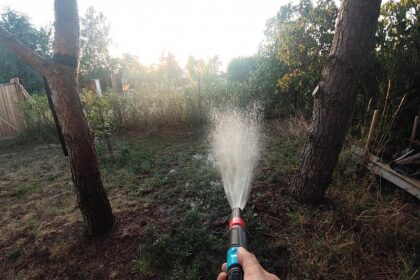 Rufe nach bewussterem Umgang mit Wasser