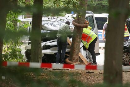Rufe nach härteren Strafen für Islamisten nach CSD-Anschlag