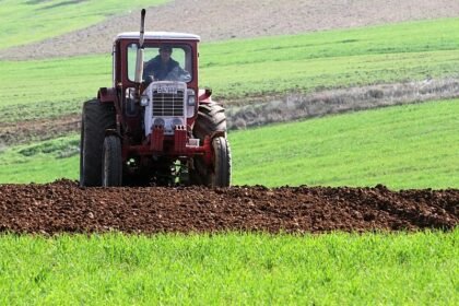 Sojabohnen-Anbaufläche in Deutschland seit 2016 mehr als verdoppelt