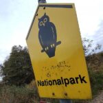 Waldbrand-Experte kritisiert Löschstrategie im Müritz-Nationalpark