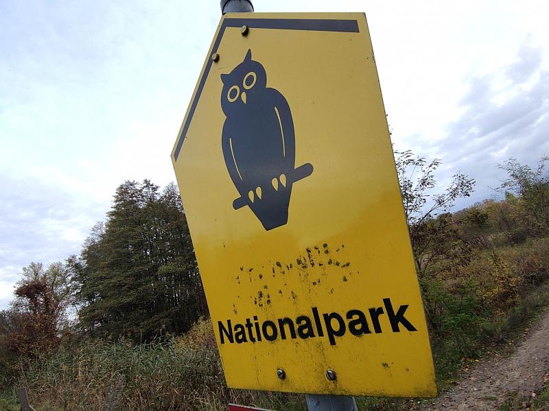 Waldbrand-Experte kritisiert Löschstrategie im Müritz-Nationalpark