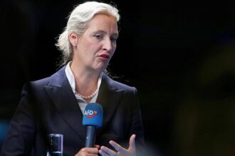 Weidel hält sich bei Reform von Unvereinbarkeitsliste bedeckt