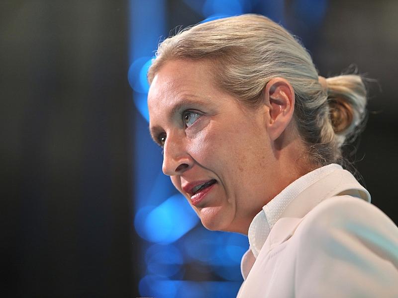 Weidel kritisiert Familienbild in Sachsen-Anhalter AfD-Wahlprogramm