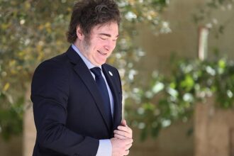 Wildberger lehnt Mileis Kettensägen-Methoden ab
