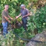 Nördlingen hilft Bachmuscheln durch die Trockenheit