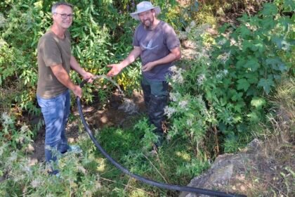 Nördlingen hilft Bachmuscheln durch die Trockenheit