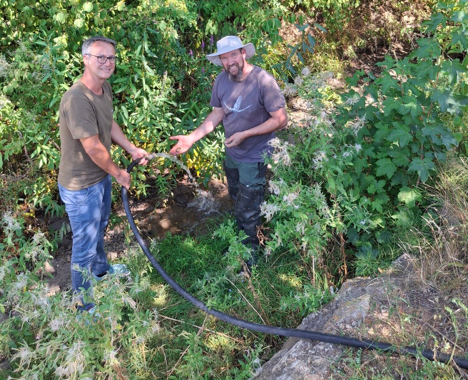 Nördlingen hilft Bachmuscheln durch die Trockenheit