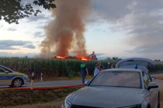 Schweinestall bei Ried in Vollbrand – rund 1600 Tiere sterben in den Flammen