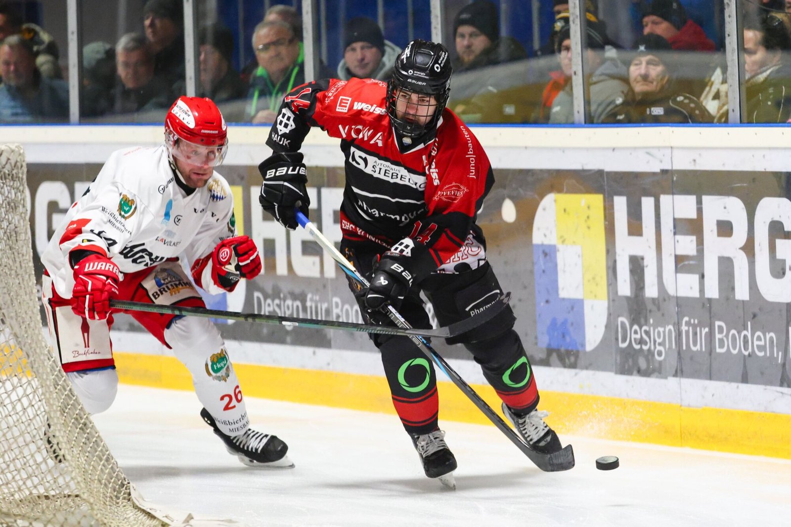 EHC Königsbrunn verstärkt Offensive und setzt auf Kontinuität