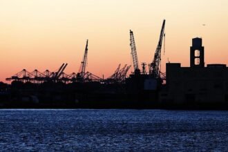 BDI erwägt härteres Vorgehen gegen China