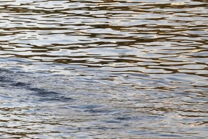 BUND kritisiert Niedrigwasserkonferenz ohne Umweltverbände